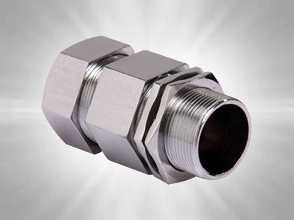 Single Double compression Cable gland WP - FLP Manufacturer in